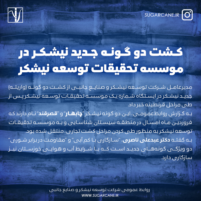 کشت دو گونه نیشکر