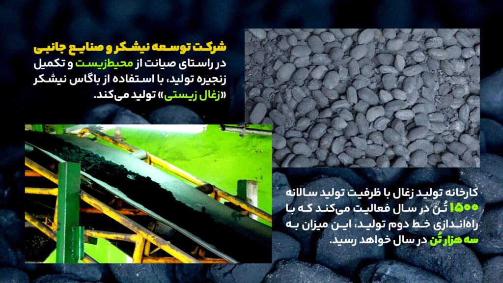 شرکت توسعه نیشکر و صنایع جانبی در راستای صیانت از محیط‌زیست و تکمیل زنجیره تولید، با استفاده از باگاس نیشکر «زغال زیستی» تولید می‌کند. 

به گزارش روابط‌عمومی شرکت توسعه نیشکر و صنایع جانبی، مدیرعامل کشت و صنعت نیشکر امام خمینی‌(ره) این خبر را اعلام کرد و آن را دستاوردی محیط‌زیستی در تکمیل زنجیره تولید و ایجاد ارزش افزوده برشمرد. 
