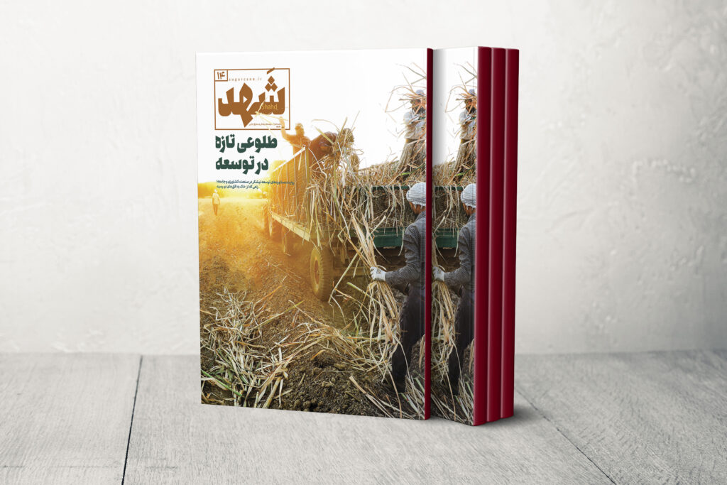 نشریه14