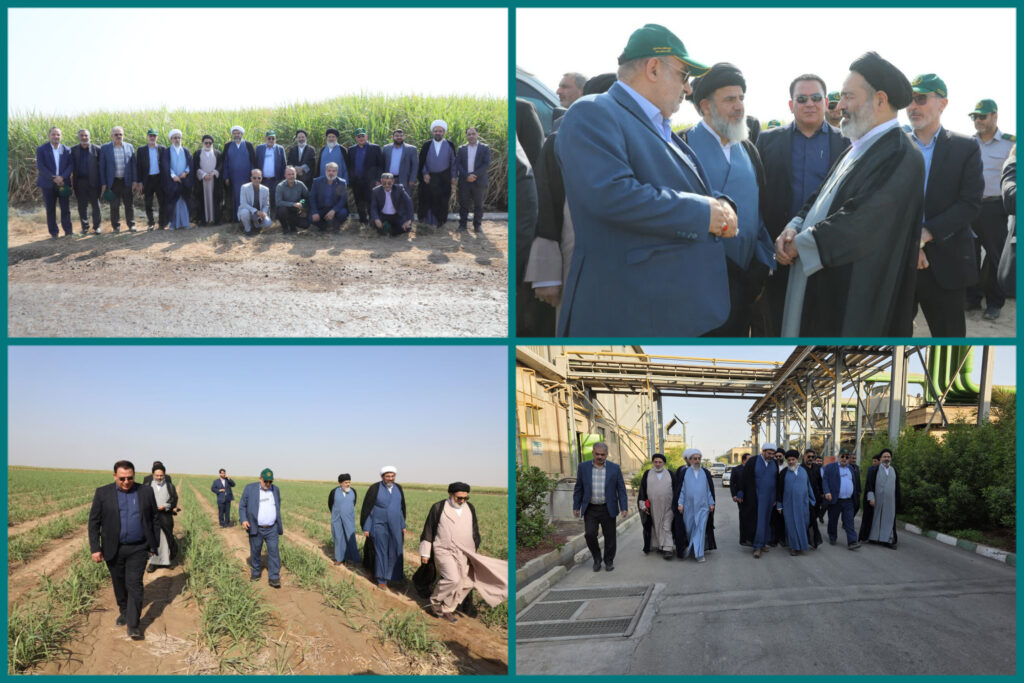 InShot_20251026_100856996