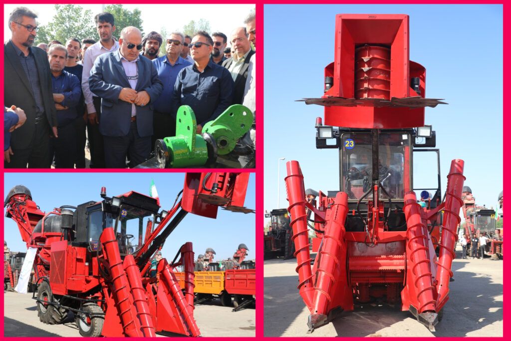 InShot_20251027_230630163