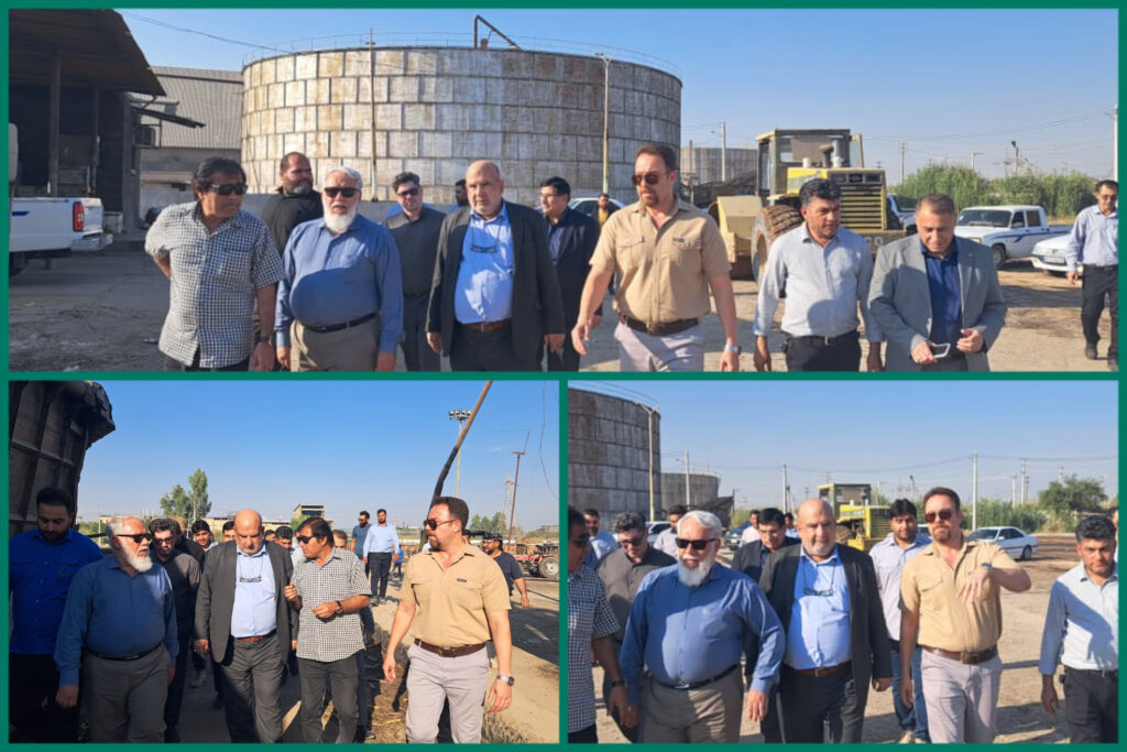 InShot_20251106_232833491