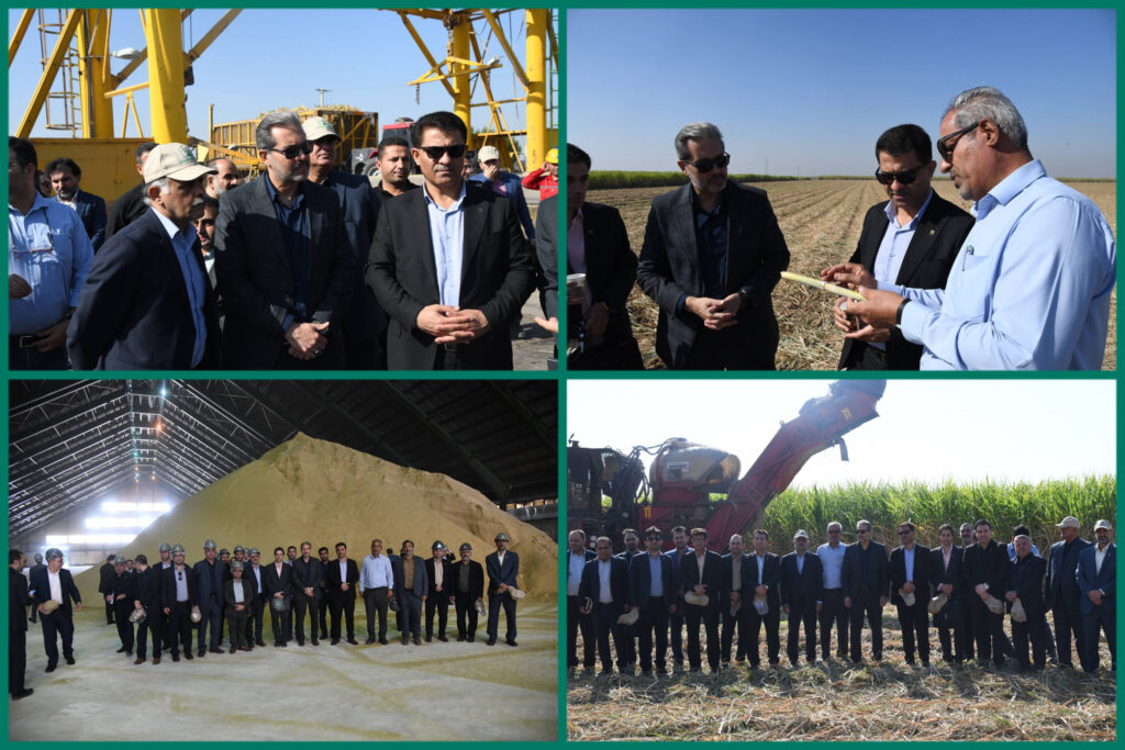 InShot_20251121_163724947