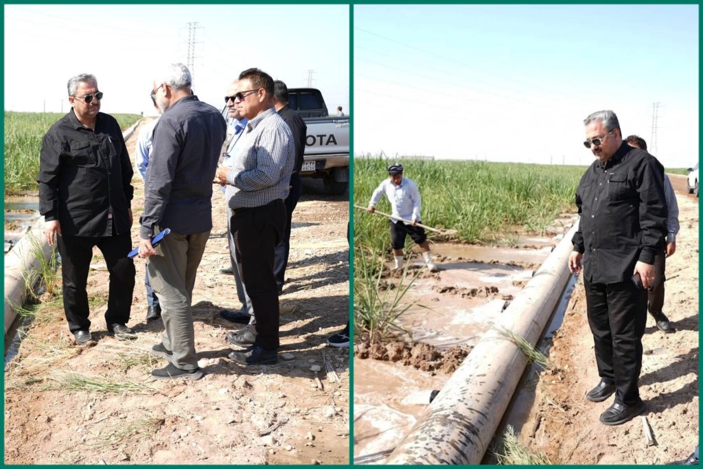 InShot_20260604_222839641