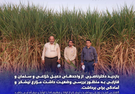 1قالب-فوتوتیتر-1