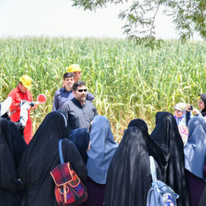 DHK_6886