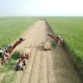 DJI_0138-1024x768