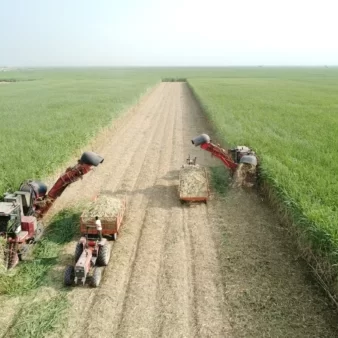 DJI_0138