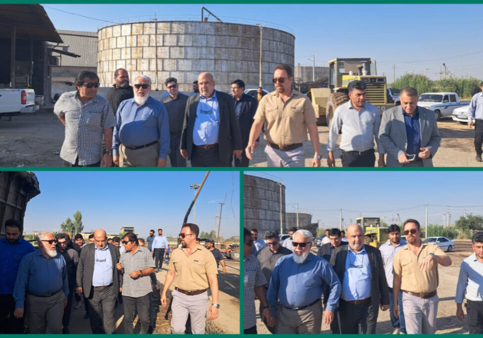 InShot_20251106_232833491