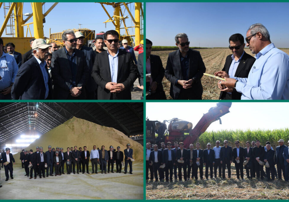 InShot_20251121_163724947