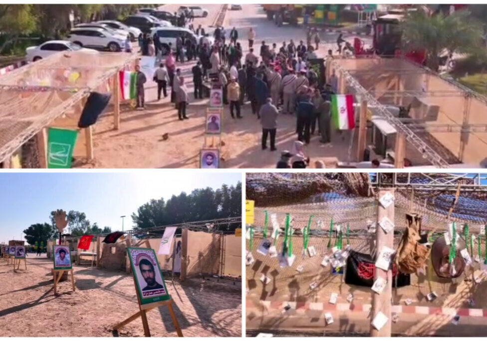 InShot_20251129_230354483