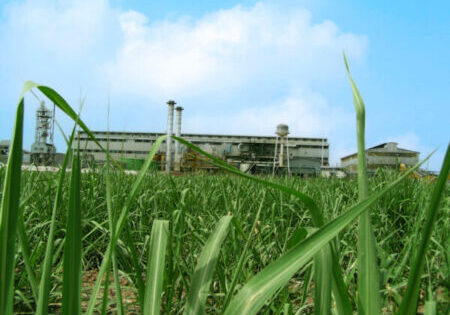 Picture-063-600x450-1