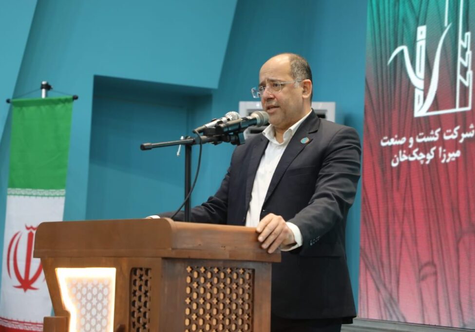 WhatsApp Image 2025-11-29 at 09.45.19