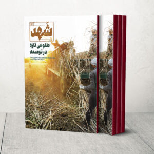 نشریه14