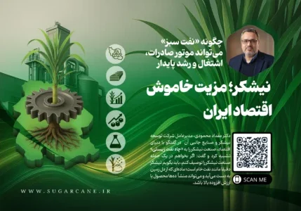 نیشکر؛ مزیت خاموش اقتصاد ایران