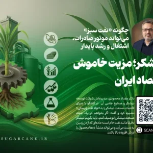 نیشکر؛ مزیت خاموش اقتصاد ایران